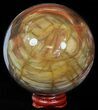 Colorful Petrified Wood Sphere #49770-1